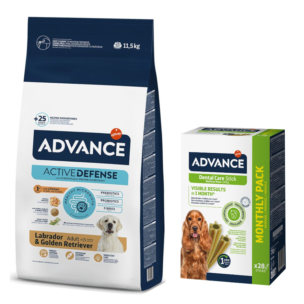 Advance Trockenfutter + passende Dental Care Snacks gratis! - 11,5 kg Labrador Retriever Adult + 720 g Medium/Maxi von Affinity Advance