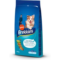 Brekkies Dog mit Lachs - 14 kg von Affinity Brekkies