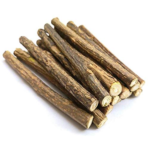 Afforstyle 20 StüCk NatüRliche Silberrebe Sticks für Katzen Minzen Sticks Matatabi Kauen Sticks ZäHne Molar Kauen Spielzeuge für die Reinigung Von Katzen ZäHnen von Afforstyle