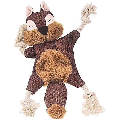 Aflytep Stuffless Hunde Spielzeug für Welpen, Knittern Quietschende Hunde Kau Spielzeuge EichhöRnchen PlüSch Hunde Spielzeug mit Seilknoten für Kleine Hunde von Aflytep