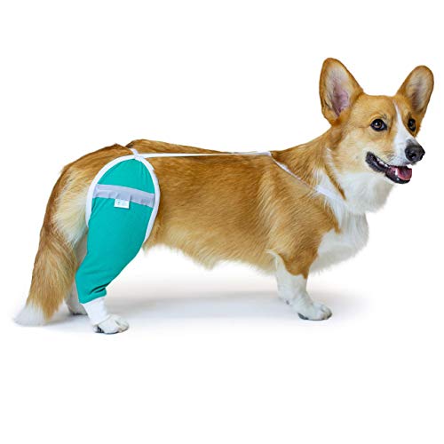 After Surgery Wear Hüft- und Oberschenkel-Wundschutzmanschette für Hunde, von Tierärzten weltweit empfohlen (Medium - Kurzarm, Blaugrün) von After Surgery Wear