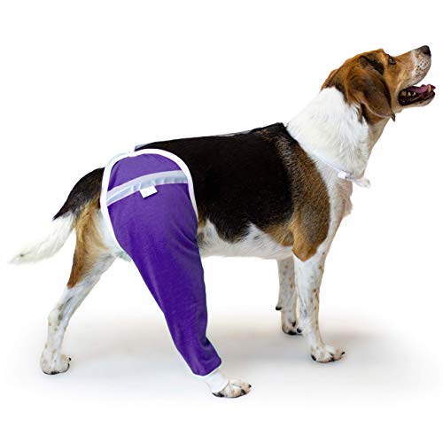 After Surgery Wear Hüft- und Oberschenkel-Wundschutzmanschette für Hunde, von Tierärzten weltweit empfohlen (Größe S, Violett) von After Surgery Wear