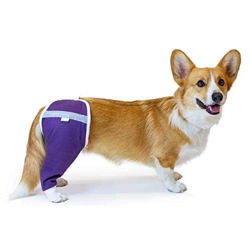 Hüft- und Oberschenkel-Wundschutzmanschette für Hunde | Hunde-Wundhülse | Von Tierärzten weltweit empfohlen (Small - Short Sleeve, Purple) von After Surgery Wear