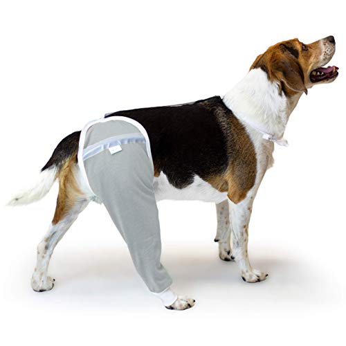 VetMedWear Hüft- und Oberschenkel-Wundschutzmanschette für Hunde, von Tierärzten weltweit empfohlen (XS, Grau) von After Surgery Wear