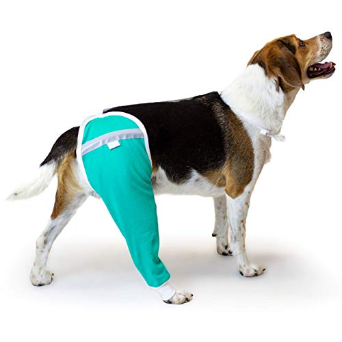 Hüft- und Oberschenkel-Wundschutzmanschette für Hunde | Hunde-Wundhülse | Von Tierärzten weltweit empfohlen (XS, Blaugrün) von After Surgery Wear