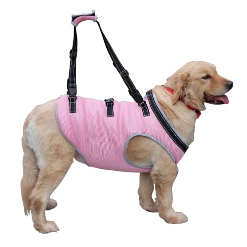 Afuwarm Hundegeschirr, Haustiere Körperunterstützung Reha Weste, Verstellbare Atmungsaktive Sling Straps für Alt, Behinderte, Gelenkverletzungen, Arthritis, Hilfe für Hunde Spaziergang (Rosa, L) von Afuwarm