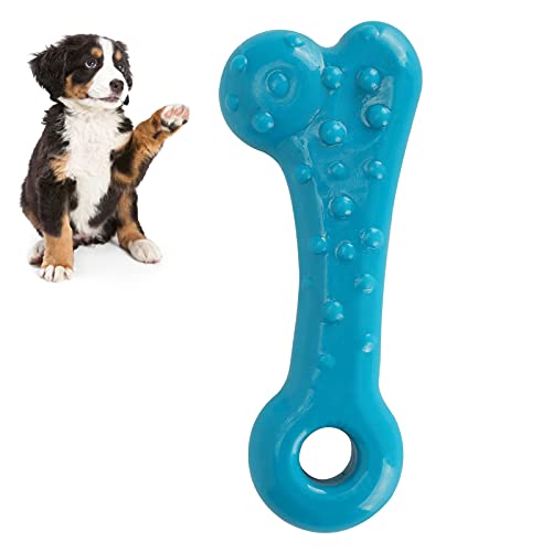 Agatige Kauspielzeug für Hunde, Kauspielzeug für Welpen in Knochenform zum Trainieren und Reinigen der Zähne(Blau) von Agatige