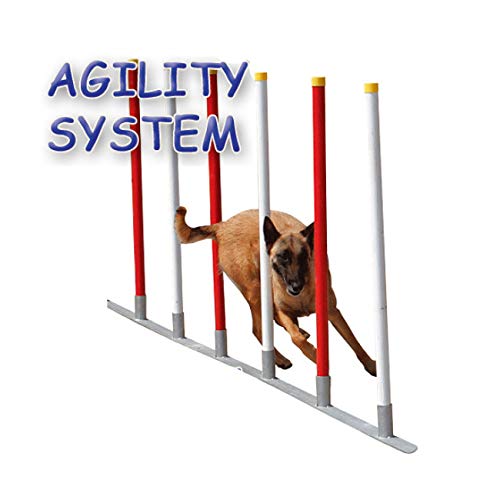 Agility System Slalom 12 Pfosten für Hundesport von Agility System