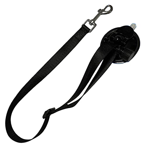 Aginkgo Hunde-Badeshalte, mit schwerem Saugnapf, für Hunde, Fellpflege, weiche Nylon-Leine mit verstellbarem Halsband für Haustiere, Katzen, weicher Haltegurt, langlebige Saugkraft von Aginkgo