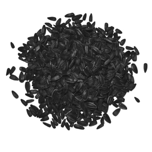 Agrarshop Sonnenblumenkerne schwarz 18,5 kg Vogelfutter Ganzjahresfutter von Agrarshop