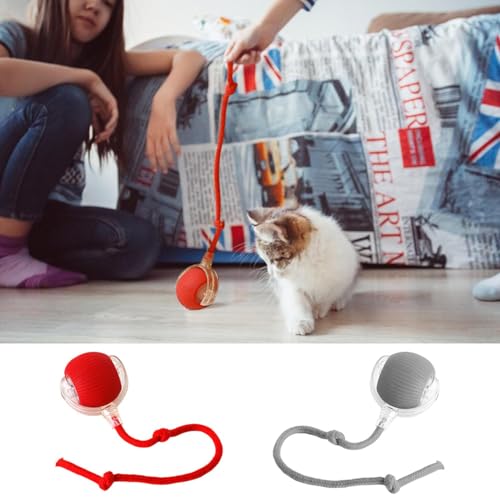 Ahuuen Interaktives Katzenspielzeug Rollender Ball | Automatisch Rollender Haustierball | Interaktiver Rollender Hundekatzenball | Für Große Kleine Katzen Und Hunde Im Haus von Ahuuen