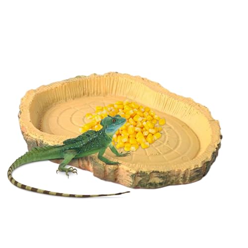 Ahuuen Turtle Water Bowl, Gecko Feeding Ledge - Simulation Pet Bowl - Lustige Haustiervorräte, tragbare -Feeder für bärtigen Drachen, Eidechsen, Eidechsen von Ahuuen