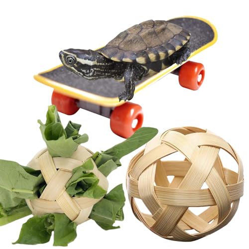 Schildkröte Behandeln Ball Und Ausbildung Skateboard Spielzeug | 2 Gemüse Gras Obst Futterball Mit Skateboard | Futter Gras Ball Mit Ausbildung Skateboard Für Kleine Tiere Haustiere von Ahuuen