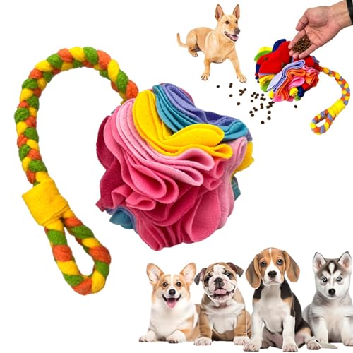 Schnüffelball Hund, Soft Interactive Foraging Toy, Für Nose Work Training Schnüffelball für Hunde, Slow Feeder Dispenser für Puppies & Small, Fun Enrichment Activity (YHF, 10CM) von AiQiMinHao