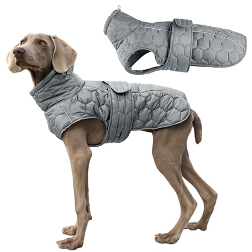 Aiboria Hundejacke Warme Hundemantel Winter Reflektierende Mittelgroße Welpen Hundepullover Fleece Winddichte Haustier Wintermantel Weste mit Gurtloch Grau L von Aiboria