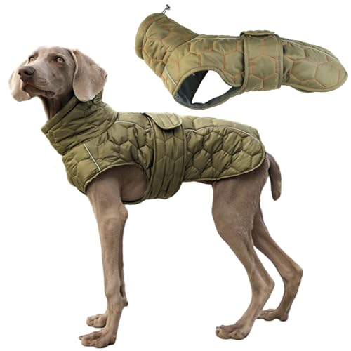 Aiboria Hundejacken Warme Hundemantel Winter Mittelgroße Welpen Hundepullover Fleece Winddichte Wasserdicht 2 in 1 Haustier Jacke Wintermantel Outdoor Olivgrün-B L von Aiboria