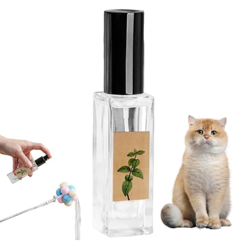 Aibyks Cat Nip Spray,Spray Katzenminze - Katzentraining & Freudenspray | Trainingshilfe-Flüssigkeitsnebel für Katzen, sicherer Kratzsprühnebel für Nest, Pfosten, Spielzeug von Aibyks