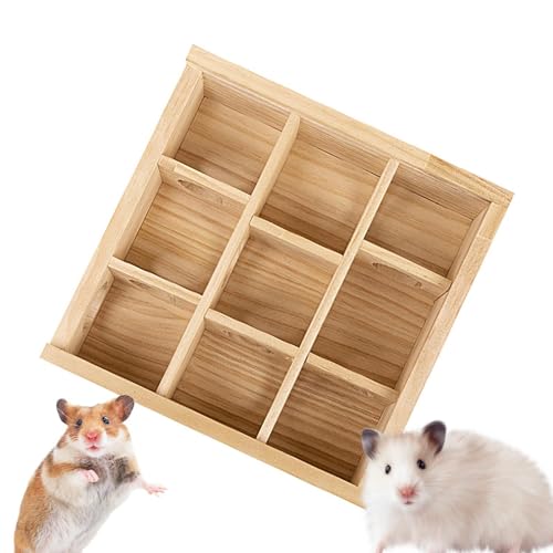 Aibyks Hamster-Spielspielzeug-Labyrinth, Hamster-Labyrinth-Spielzeug | Hamster Spielzeug Rennmaus Labyrinth | Aktivitätszentrum für kleine Haustiere, Hamsterspielzeug, Rennmaus-Labyrinth, von Aibyks