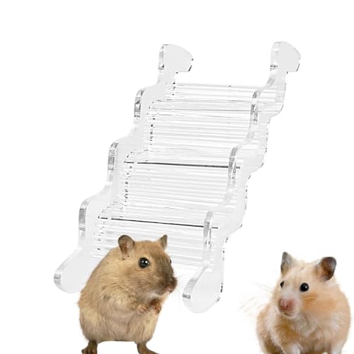 Hamsterleiter - Syrisches Hamsterspielzeug | Durchsichtiges Acryl-Hamster-Kletterspielzeug, Hamster-Spielplatz | Hamster-Kletterleiter Für Rennmäuse, Mäuse Und Kleintiere (M) von Aibyks