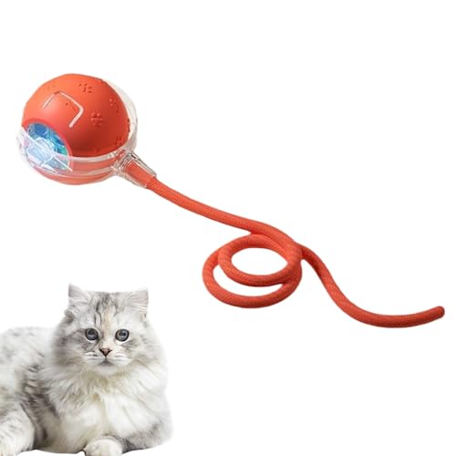 Interaktiver Katzenball – Aktiver Rollball Mit Schwanz Für Hunde | 3 Modi Automatische Schnell Rollende Interaktive Katzenspielzeugbälle | Chirping & Motion Cat Teaser Ball Für Katzen Und Hunde (Rot) von Aibyks