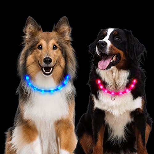 2 Stück Leuchthalsband Hund LED, Aicharynic LED Hunde Halsbänder USB Wiederaufladbare Wasserdicht LED Hundehalsband 3 Blinkende Modi Lichter Längenverstellbarer Haustier Sicherheit Halsband Hunde von Aicharynic