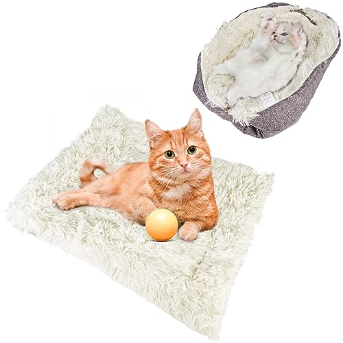 Aicharynic Katzenbett Flauschig, Katzendecke für Katzen, 2 in 1 Katzen Schlafplatz Katzensofa Katzenbett Plüsch Weich für Katze Kleine Hunde, Waschbar Katzenkissen Katze Schlafen Bett (60x50cm) von Aicharynic