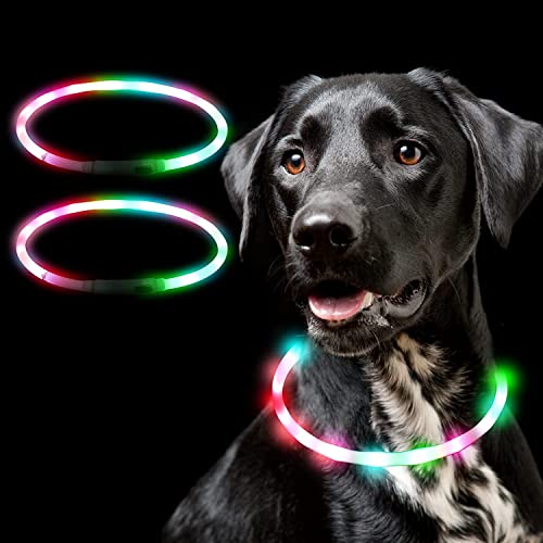 Aicharynic Leuchthalsband Hund, 2 Stück LED Hunde Halsbänder USB Wiederaufladbare Farbwechsel Wasserdicht Längenverstellbarer LED Hundehalsband 3 Blinkende Lichter Sicherheit Halsband für Hunde von Aicharynic