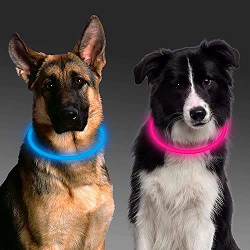 Aicharynic Leuchthalsband Hund, 2 Stück Led Hundehalsband USB Aufladbar 3 Blinkende Lichter Hunde Halsband Wasserdicht Leuchtend Längenverstellbarere Haustier Sicherheit Kragen für Hunde-Blaues Pulver von Aicharynic