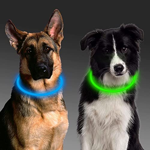 Aicharynic Leuchthalsband Hund, 2 Stück Led Hundehalsband USB Aufladbar 3 Blinkende Lichter Hunde Halsband Wasserdicht Leuchtend Längenverstellbarere Haustier Sicherheit Kragen für Hunde - Grün blau von Aicharynic