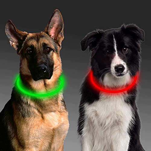 Aicharynic Leuchthalsband Hund, 2 Stück Led Hundehalsband USB Aufladbar 3 Blinkende Lichter Hunde Halsband Wasserdicht Leuchtend Längenverstellbarere Haustier Sicherheit Kragen für Hunde - Grün Rot von Aicharynic