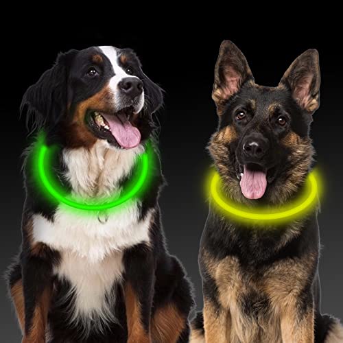 Leuchthalsband Hund, Aicharynic 2 Stück LED Hunde Halsbänder USB Wiederaufladbare Wasserdicht LED Hundehalsband 3 Blinkende Lichter Längenverstellbarer Haustier Sicherheit Halsband Hunde von Aicharynic