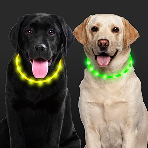 Leuchthalsband Hund, Aicharynic 2 Stück LED Hunde Halsbänder USB Wiederaufladbare Wasserdicht Längenverstellbarer LED Hundehalsband 3 Blinkende Lichter Haustier Sicherheit Halsband für Hunde Katzen von Aicharynic