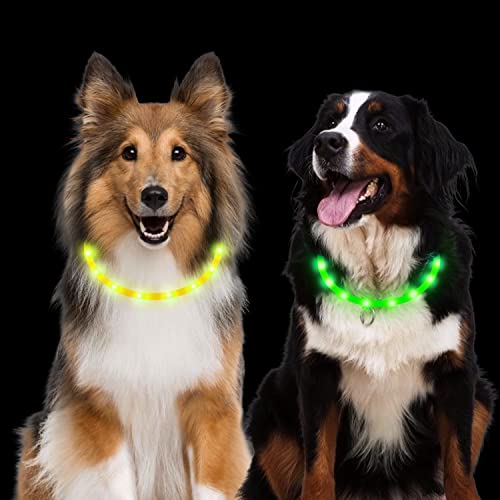 leuchthalsband Hund, 2 Stück Led Hundehalsband USB Aufladbar Wasserdicht 3 Blinkende Lichter Hunde Halsband Leuchtend Längenverstellbarere Haustier Sicherheit Kragen für Hunde Katzen von Aicharynic