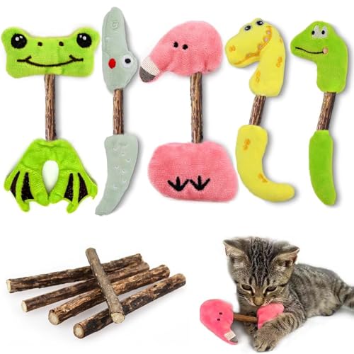 Aidiyapet Katzenspielzeug, Katzenminze Kissen, Katzenminze Sticks, Matatabi Katzen Kauhölzer, Katzenminze Sticks zum Schleifen von Zähnen, Matatabi Zahnpflege (30 Stück) von Aidiyapet
