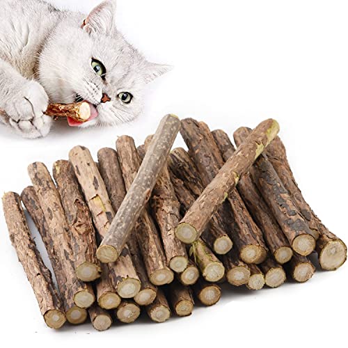 Aidiyapet 30 Stück Katzenminze Sticks, Matatabi Katzen Kauhölzer, Matatabi-Kausticks als Katzenspielzeug, Katzenminze Sticks zum Schleifen von Zähnen, Matatabi Zahnpflege von Aidiyapet