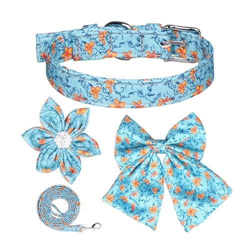 Hundehalsband und Leine, Set mit Blumenfliege, verstellbar, niedliches Welpenhalsband mit Dornschnalle, abnehmbare Fliege und Blume, Leine, Hündinnen zum Spazierengehen, Größe M, Blau von AiduduPet