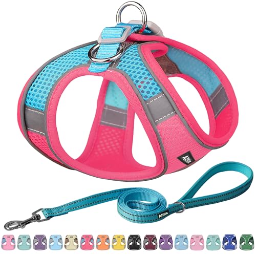 AIITLE Escape Proof Hundegeschirr - Step in einstellbares Hundegeschirr ohne Würgeeffekt mit atmungsaktivem Mesh und Schnellverschluss - Outdoor Walking, Training für mittlere Hunde Knalliges Rosa XL von Aiitle