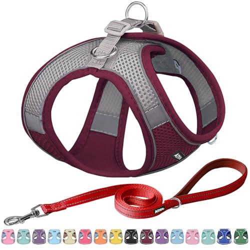 AIITLE Bequemes Hundegeschirr und Leine Set zum Gassi gehen - Step in Vest Harness, Reflektierende Bänder, Einstellbare No Pull Puppy Essentials, für kleine Hunde und Hauskatzen Burgund XS von Aiitle