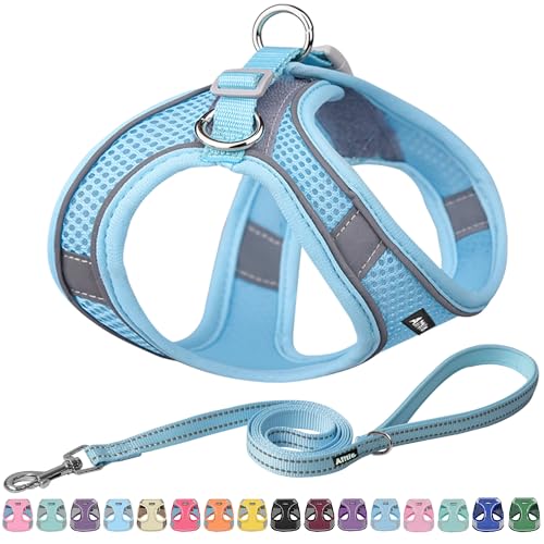 AIITLE Bequemes Hundegeschirr und Leine Set zum Gassi gehen - Step in Vest Harness, Reflektierende Bänder, Einstellbare No Pull Puppy Essentials, für kleine Hunde und Hauskatzen Reines Blau XS von Aiitle