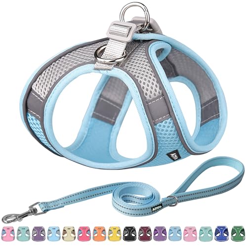 AIITLE Bequemes Hundegeschirr und Leine Set für Spaziergänge - Step in Vest Harness, Reflektierende Bänder, Einstellbare No Pull Puppy Essentials, für kleine Hunde und Hauskatzen Blau XS von Aiitle