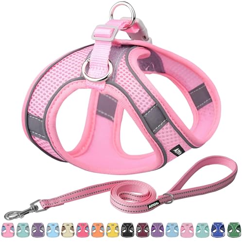 AIITLE Bequemes Hundegeschirr und Leine Set für Spaziergänge - Step in Vest Harness, Reflektierende Bänder, Einstellbare No Pull Puppy Essentials, für kleine Hunde und Hauskatzen Reines Rosa XS von Aiitle