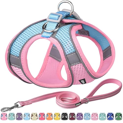 AIITLE Easy Walk Hundegeschirr und Leine Set - Haustierversorgung No Pull, Step in einstellbares Hundegeschirr No Choke Over, einfach zu setzen auf mittlere Hunde Rosa L von Aiitle