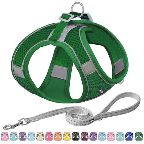 AIITLE Easy Walk Hundegeschirr und Leine Set - Haustierversorgung No Pull, Step in einstellbares Hundegeschirr No Choke Over, einfach zu setzen auf mittlere Hunde Grün L von Aiitle