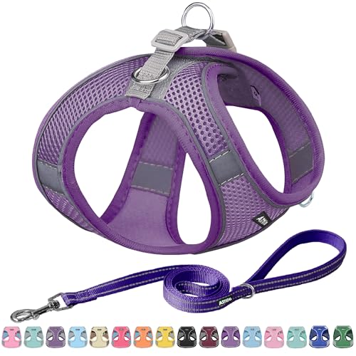 AIITLE Easy Walk Hundegeschirr und Leine Set - Haustierversorgung No Pull, Step in einstellbares Hundegeschirr No Choke Over, einfach zu setzen auf mittlere Hunde Reines Lila L von Aiitle