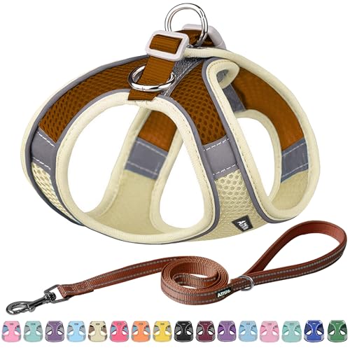 AIITLE Hundegeschirr, No-Pull Katzengeschirr mit Einer Leine, einstellbare reflektierende Hundeweste, Outdoor Walking für extra kleine Hunde und Hauskatzen Beige XXXS von Aiitle