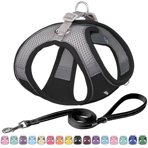 AIITLE Hundegeschirr, No-Pull Katzengeschirr mit Einer Leine, einstellbare reflektierende Hundeweste, Welpengeschirr Escape Proof, Outdoor Walking für extra kleine Hunde und Hauskatzen Schwarz XXXS von Aiitle