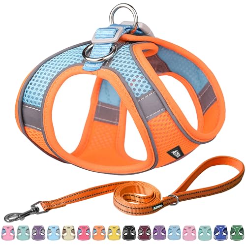 AIITLE Hundegeschirr, No-Pull Katzengeschirr mit Einer Leine, einstellbare reflektierende Hundeweste, Welpengeschirr Escape Proof, Outdoor Walking für extra kleine Hunde und Hauskatzen Orange XXXS von Aiitle