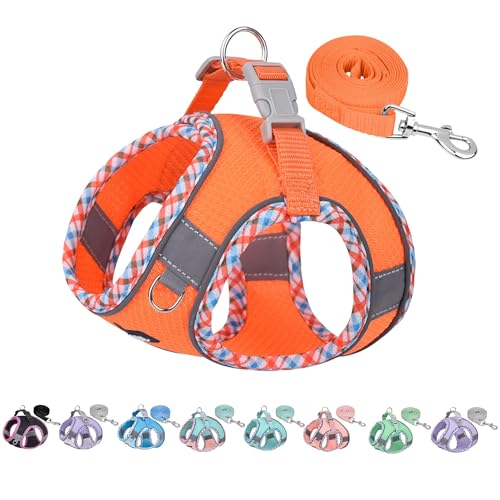 AIITLE Hundegeschirr für kleine Hunde, No-Pull Pet Harness mit Einer Leine, Step in Hundegeschirr mit atmungsaktivem Mesh und Schnellverschluss-Schnalle, Outdoor-Haustierweste für extra kleine Hunde von Aiitle