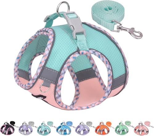 AIITLE Hundegeschirr für kleine Hunde, No-Pull Pet Harness mit Einer Leine, Step in verstellbares Hundegeschirr mit Schnellverschluss-Schnalle, Reflektierende Outdoor-Haustierweste für extra kleine von Aiitle