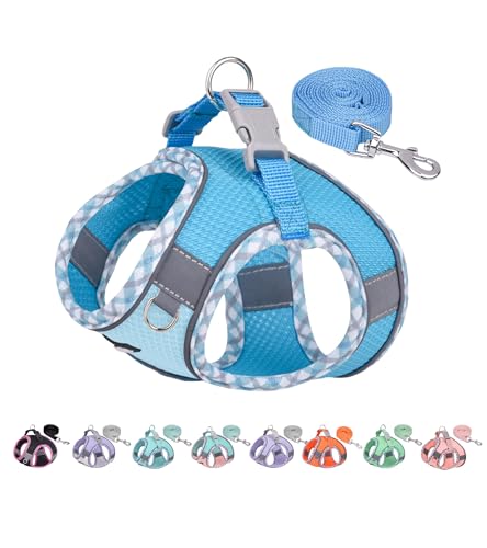 AIITLE Hundegeschirr und Leine Set, No Pull Schritt in Welpengeschirr mit Super atmungsaktivem Mesh, einstellbare reflektierende Welpen Essentials für die Ausbildung für kleine Hunde, Katzen Blau XS von Aiitle